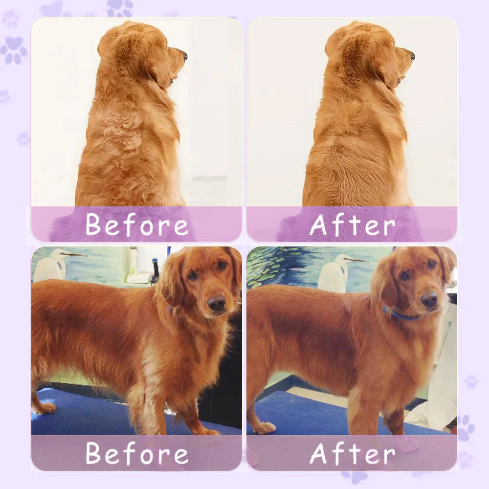 🐾Last Day Sale🐾 Up to 50% OFF | 3-in-1 Steamy Pet Brush with Essence - Professional De-shedding Comb for Pets